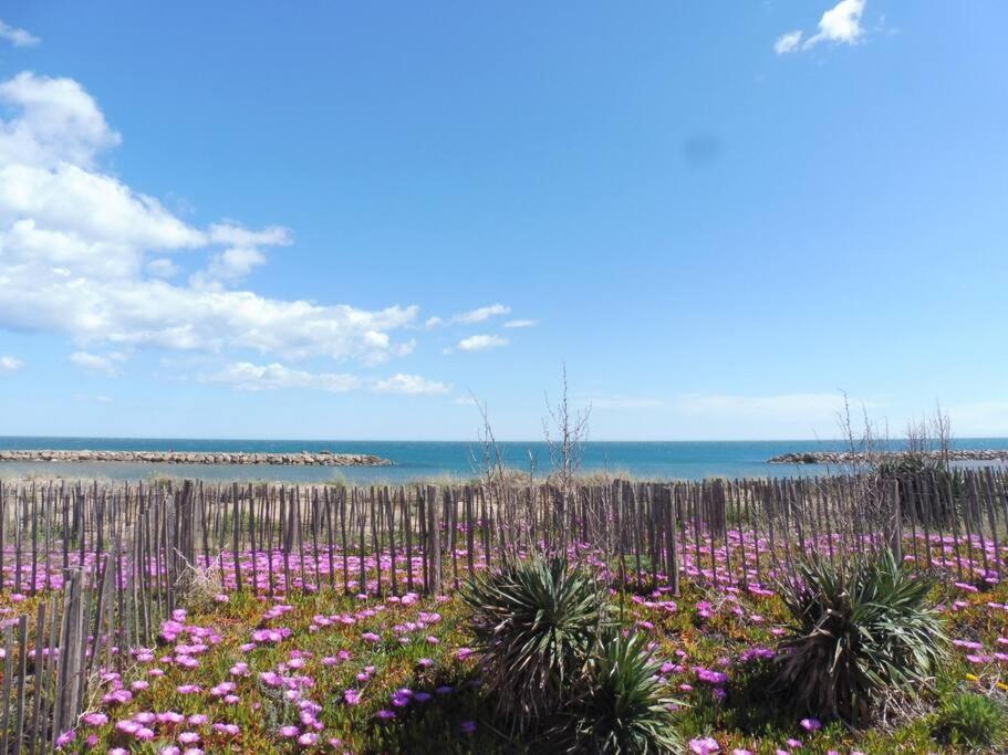 Le Petit Coin De Paradis. Valras-Plage Zewnętrze zdjęcie